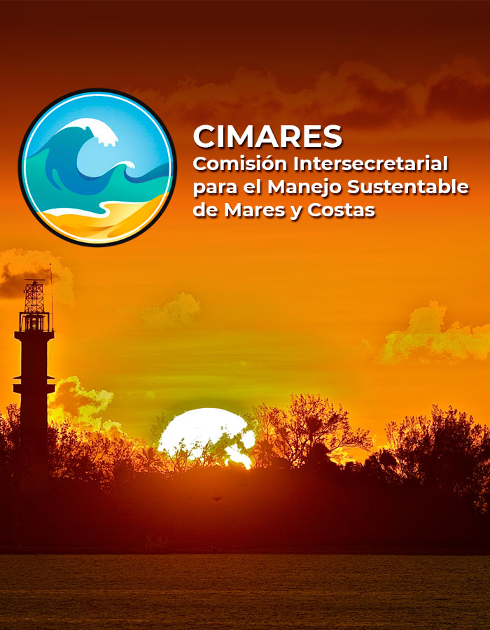 CIMARES